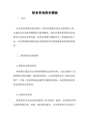 專(zhuān)業(yè)財(cái)務(wù)顧問(wèn)咨詢報(bào)告